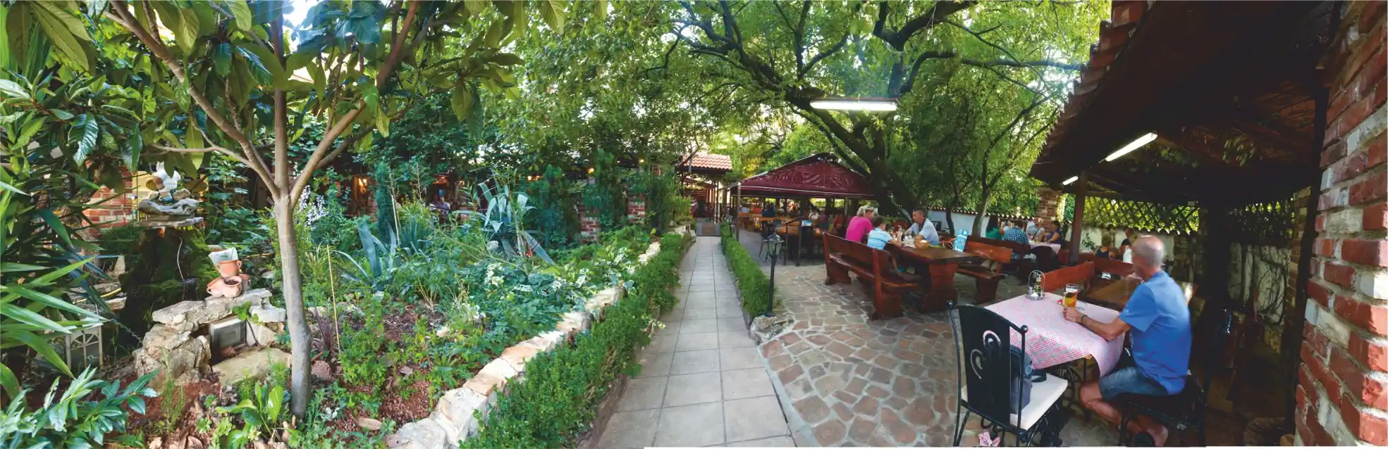Restaurant Kiwi Panoramic View